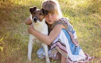 Responsible Dog Ownership; Tips for Avoiding Dog Bites
