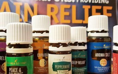 ESSENTIAL OILS FOR CATS AND DOGS?  OF COURSE!!!!