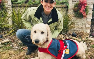 The Benefits of Dog Training