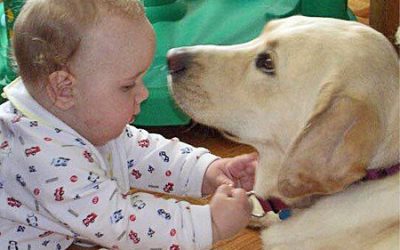 World Pet Memorial Day — Teeters, Jessie, Tanner