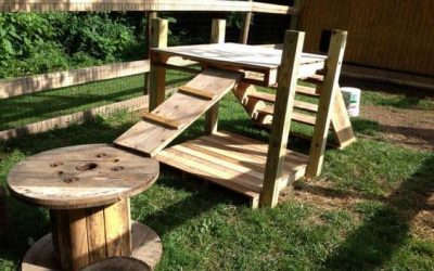 5 PAWsome Backyard Design Ideas Your Dog Will Love