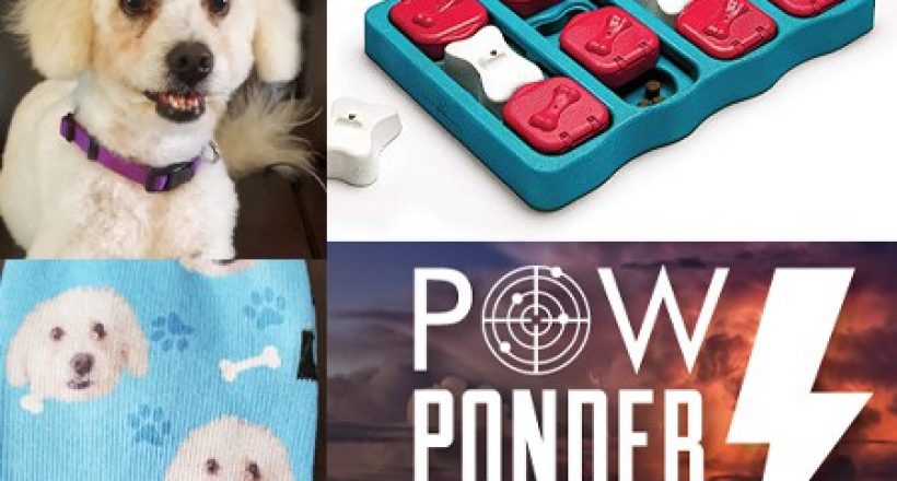 Our favorite pet-related items