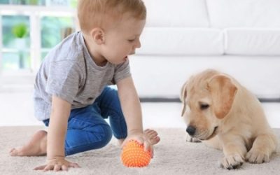 How Do I Socialize My Pup?