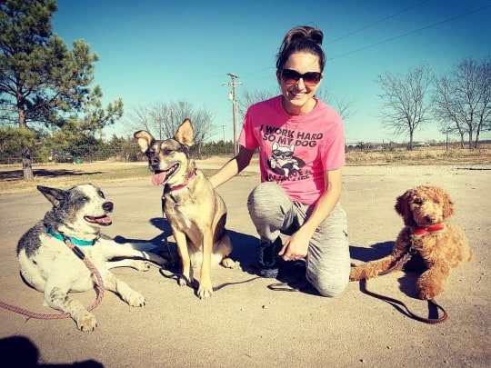 Happy dog trainer with three dogs