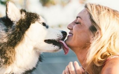Why Do Dogs Lick?