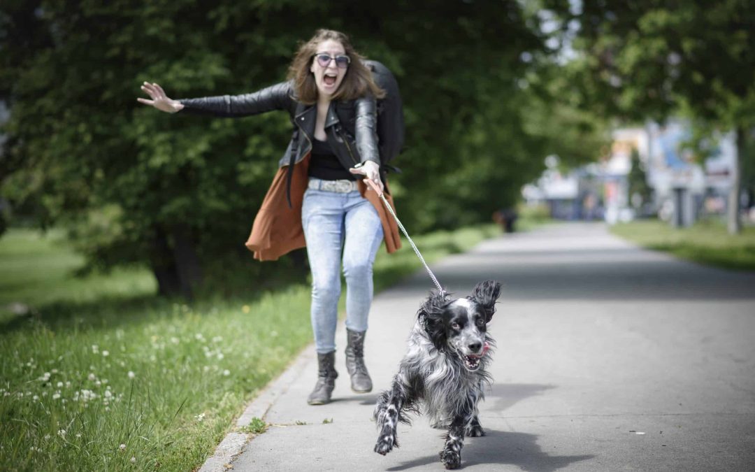 Why Choose a Professional Pet Care Service