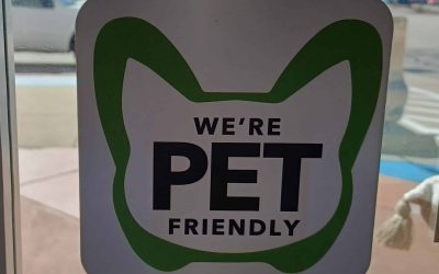 Dog Friendly Restaurants and Stores in McKinney
