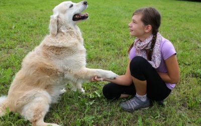 What Is the Best Dog for My Child’s Personality?