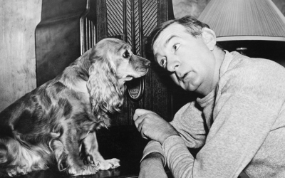 Pros and Cons of Leaving a Radio on For Your Dog