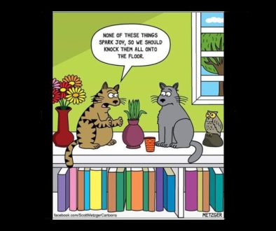 Cartoon of cats discussing knocking items down