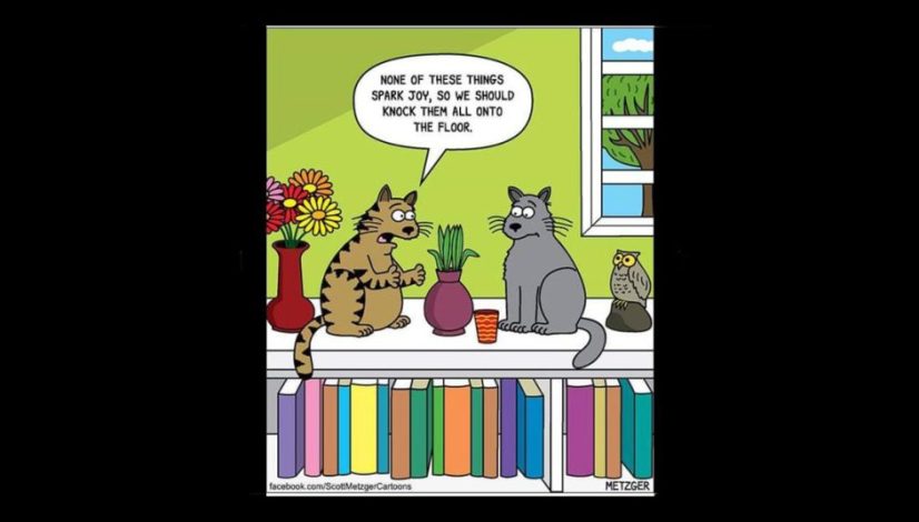 Cartoon of cats discussing knocking items down