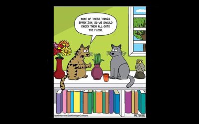 7 Reasons Why Cats Knock Things Over