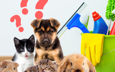 Pet-friendly cleaning supplies for safe home cleaning around animals.