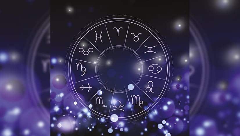 The Best Dog For Each Zodiac Sign