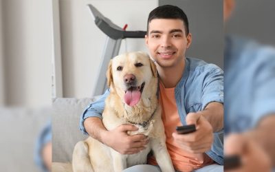 How to Throw a Dog Friendly Super Bowl Party