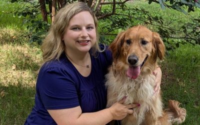 How Do Therapy Dogs Become Certified?