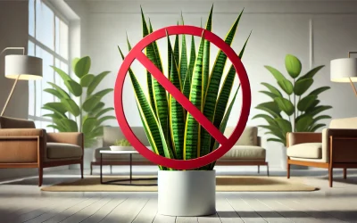 Houseplants that are safe for cats (and some to avoid)