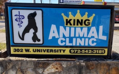Our Favorite McKinney Veterinarians