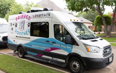 Our friend, pet groomer Bernadette Coleman