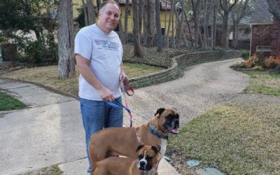 Your Dog Deserves Care—Even When You’re Busy