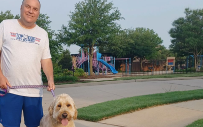 Dog walker with a golden retriever in a park during daytime.