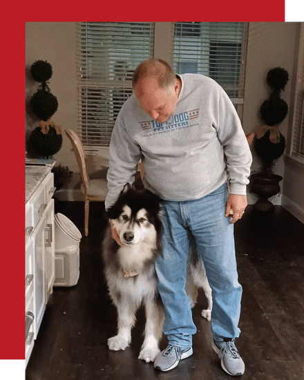 Entrust Your Pets to the Heartfelt Care of Top Dog Sitters