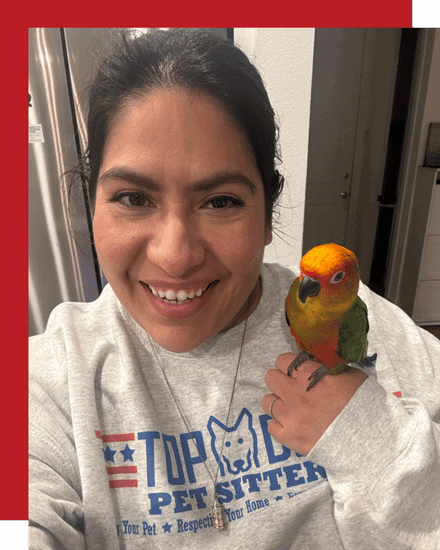 McKinney bird pet sitter cuddling cat