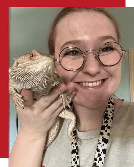McKinney reptile pet sitter cuddling cat