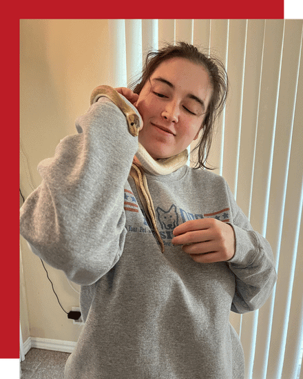 McKinney snake pet sitter playing with snake