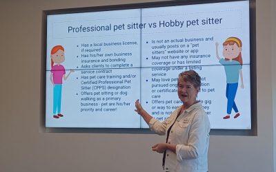 Comparison of professional and hobby pet sitters with key differences.