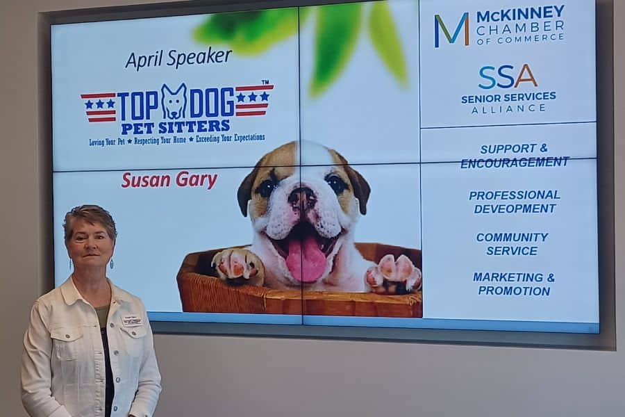 Susan of Top Dog Pet Sitters in Mckinney speaking at the McKinney Chamber of Commerce