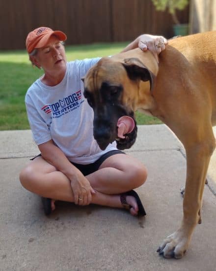 Top Dog Pet Sitter owner petting big dog during pet sitting visit after dog walk