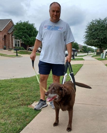 Top Dog Pet Sitter owner petting senior dog during dog walking visit