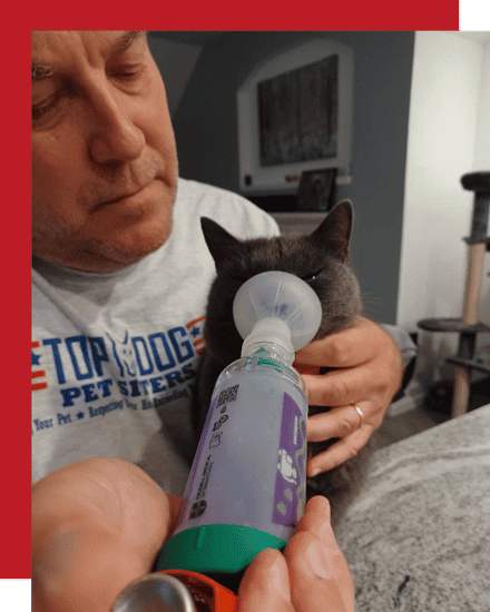 cat inhaler Special needs pet care in mckinney and melissa tx cat inhaler Special needs pet care in mckinney and melissa tx