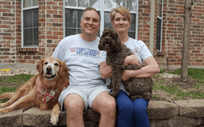 Professional Pet Sitting & Dog Walking What Are You Paying For
