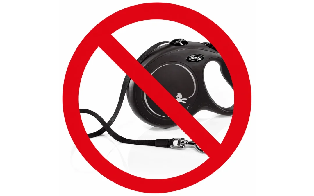 Why Retractable Leashes Are Dangerous for Dogs and the People Who Walk Them