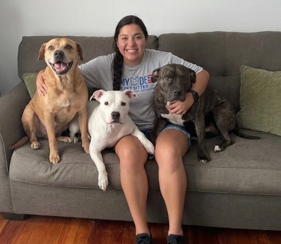 abby top dog pet sitters
