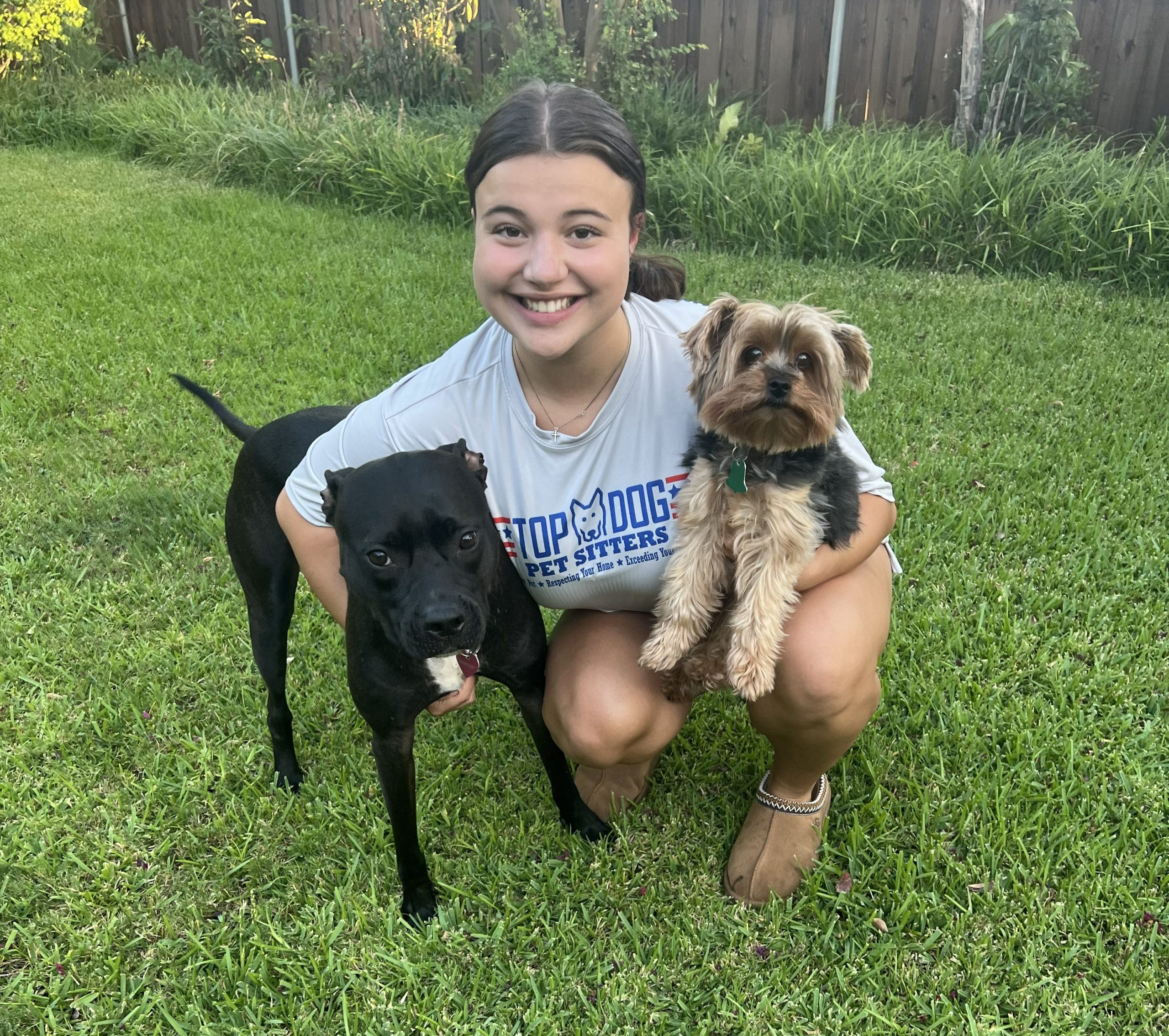 abby top dog pet sitters