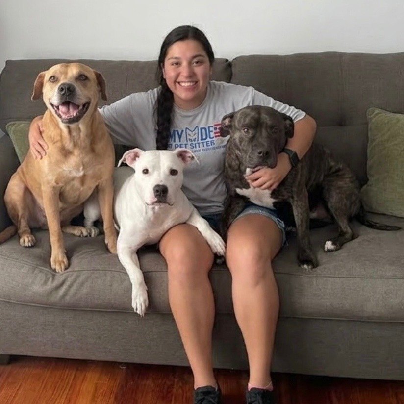 Top Dog Pet Sitters pet sitter Isabel with three dogs Top Dog Pet Sitters pet sitter Isabel on a couch with three dogs